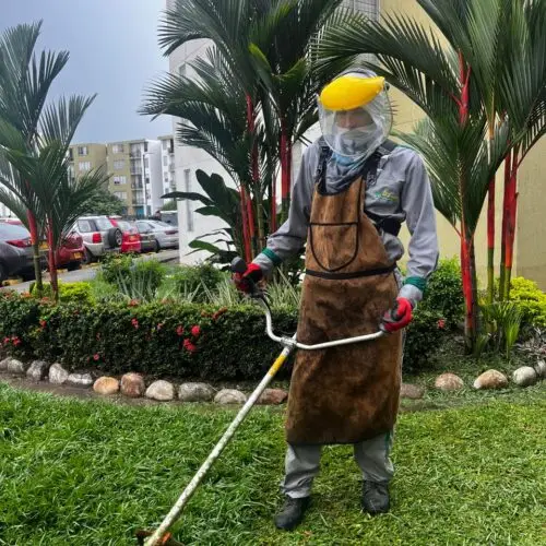 Servicio de Guadaña / Corte de Césped y Maleza