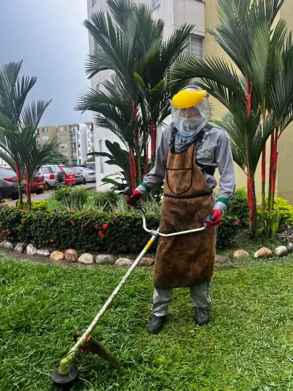 Servicio de Guadaña / Corte de Césped y Maleza