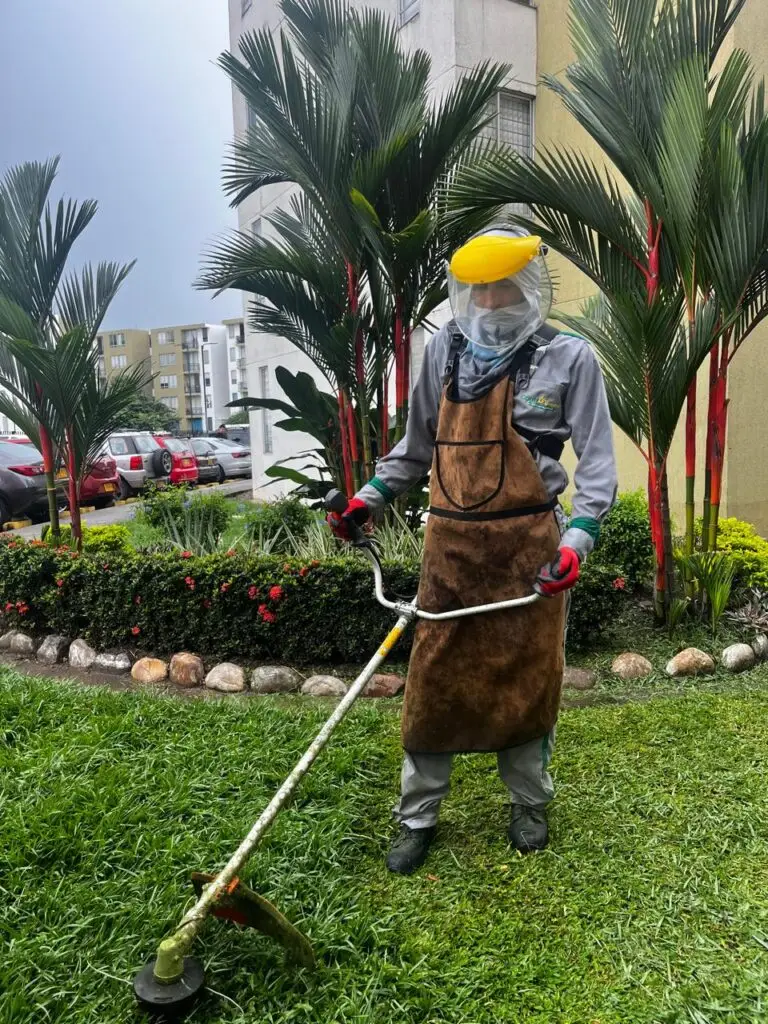 Servicio de guadaña