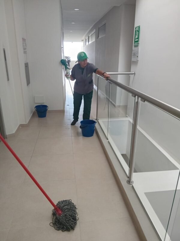 Limpieza de vidrios (oficinas/locales/edificios)