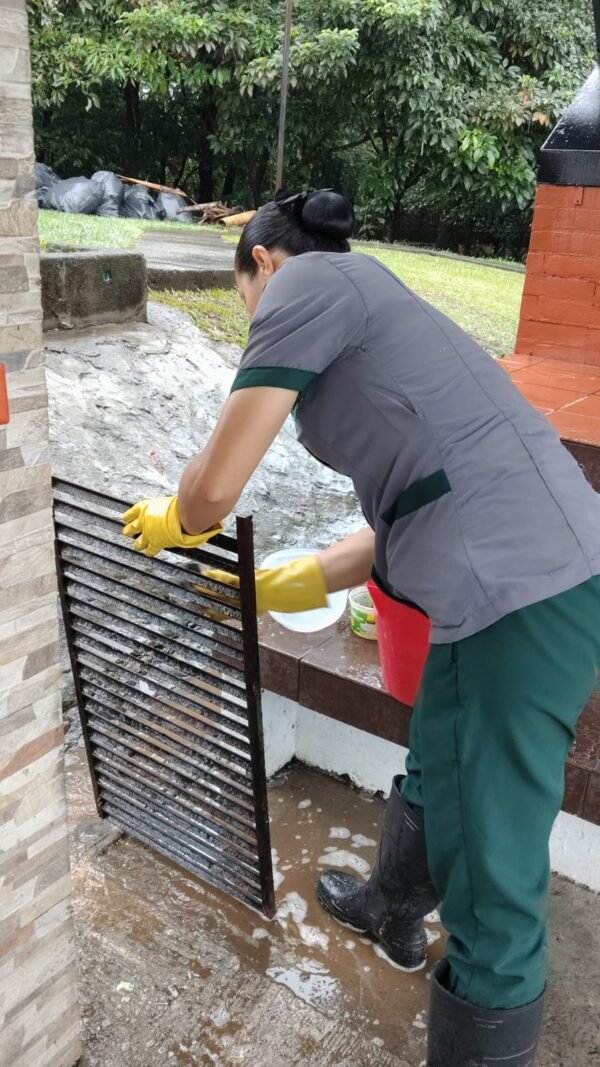 Limpieza de canaletas (Por metro lineal)